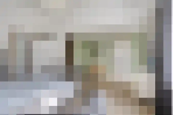 Bosbes 26 Zeewolde thumbnail 66