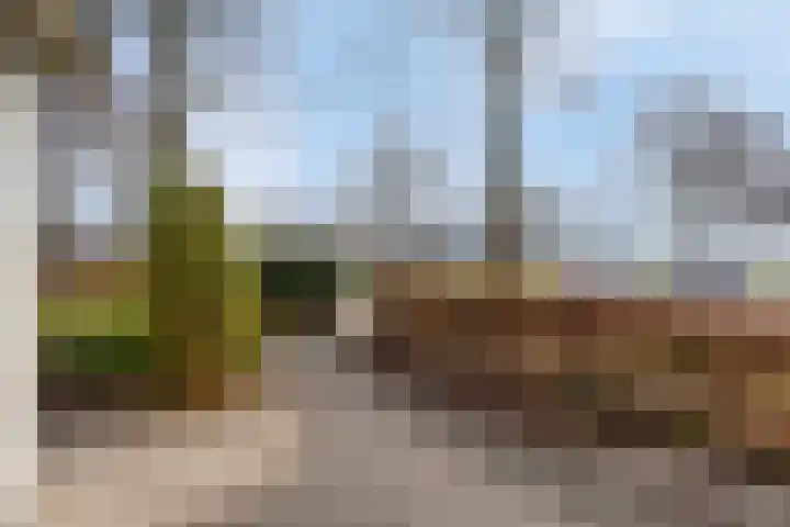 Bosbes 26 Zeewolde thumbnail 69