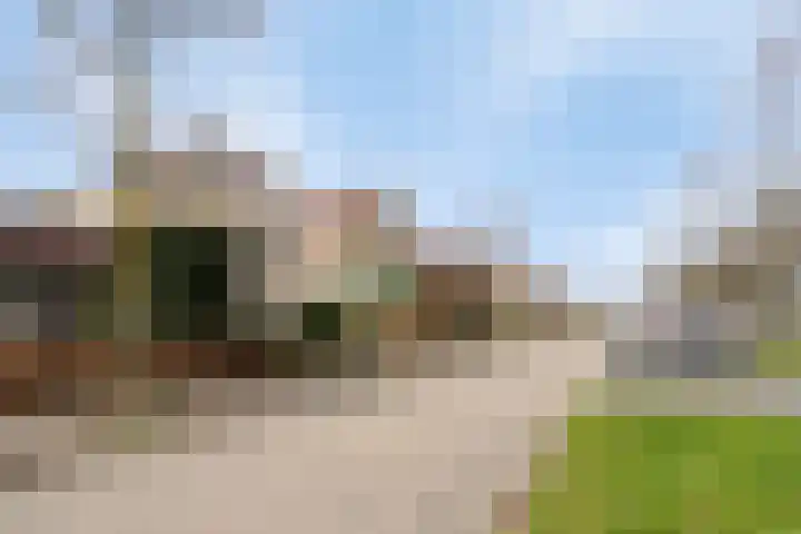 Bosbes 26 Zeewolde thumbnail 7