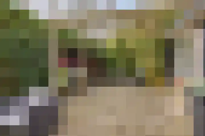 Bosbes 26 Zeewolde thumbnail 70