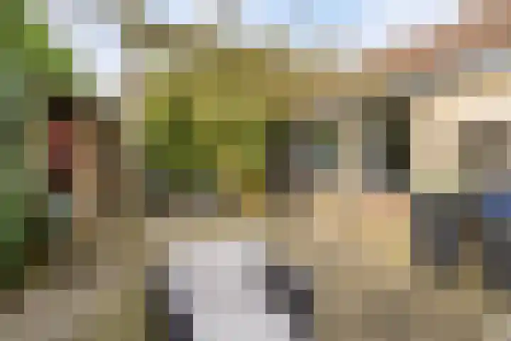Bosbes 26 Zeewolde thumbnail 71