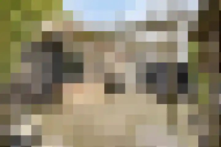 Bosbes 26 Zeewolde thumbnail 72