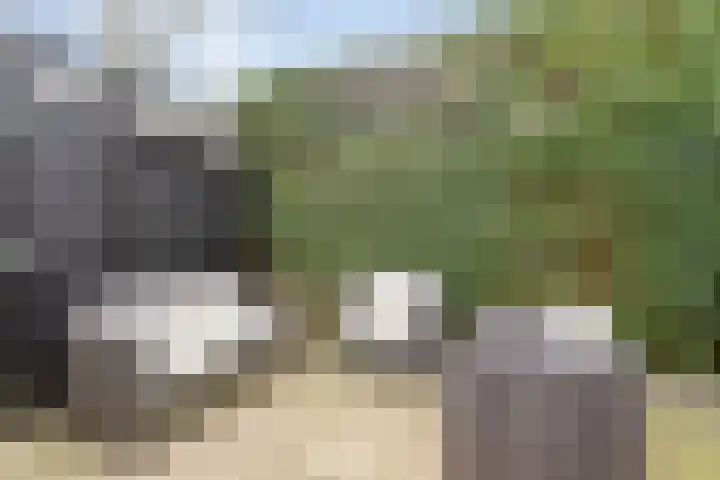 Bosbes 26 Zeewolde thumbnail 73