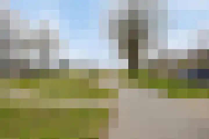 Bosbes 26 Zeewolde thumbnail 74