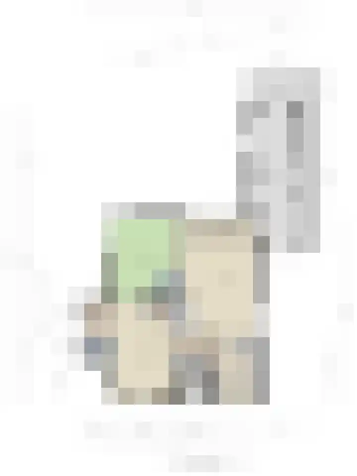 Bosbes 26 Zeewolde thumbnail 75