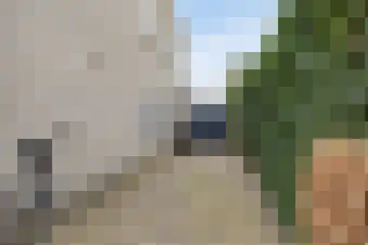 Bosbes 26 Zeewolde thumbnail 8