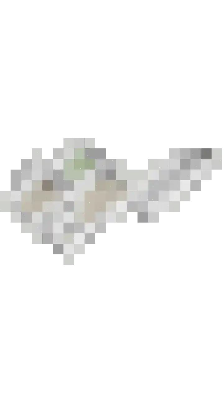 Bosbes 26 Zeewolde thumbnail 80