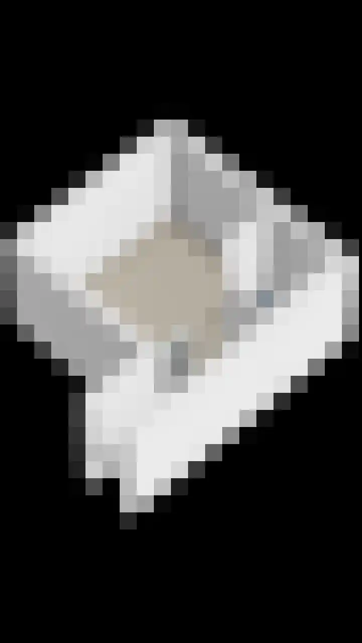 Bosbes 26 Zeewolde thumbnail 84