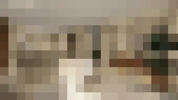 Bosbes 3 Someren thumbnail 5