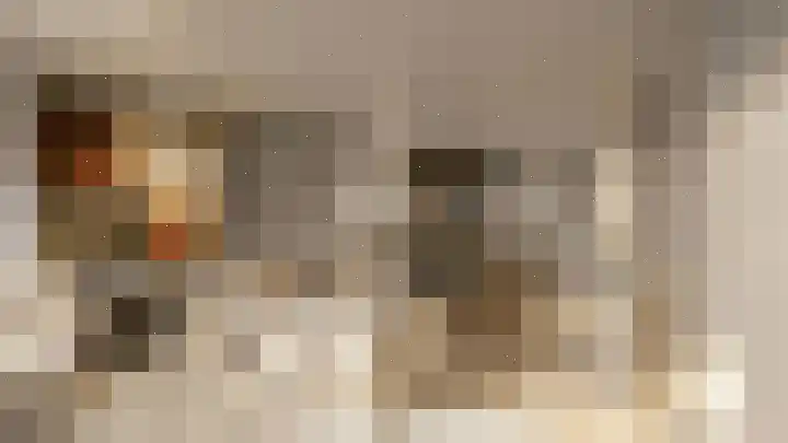 Bosbes 3 Someren thumbnail 9