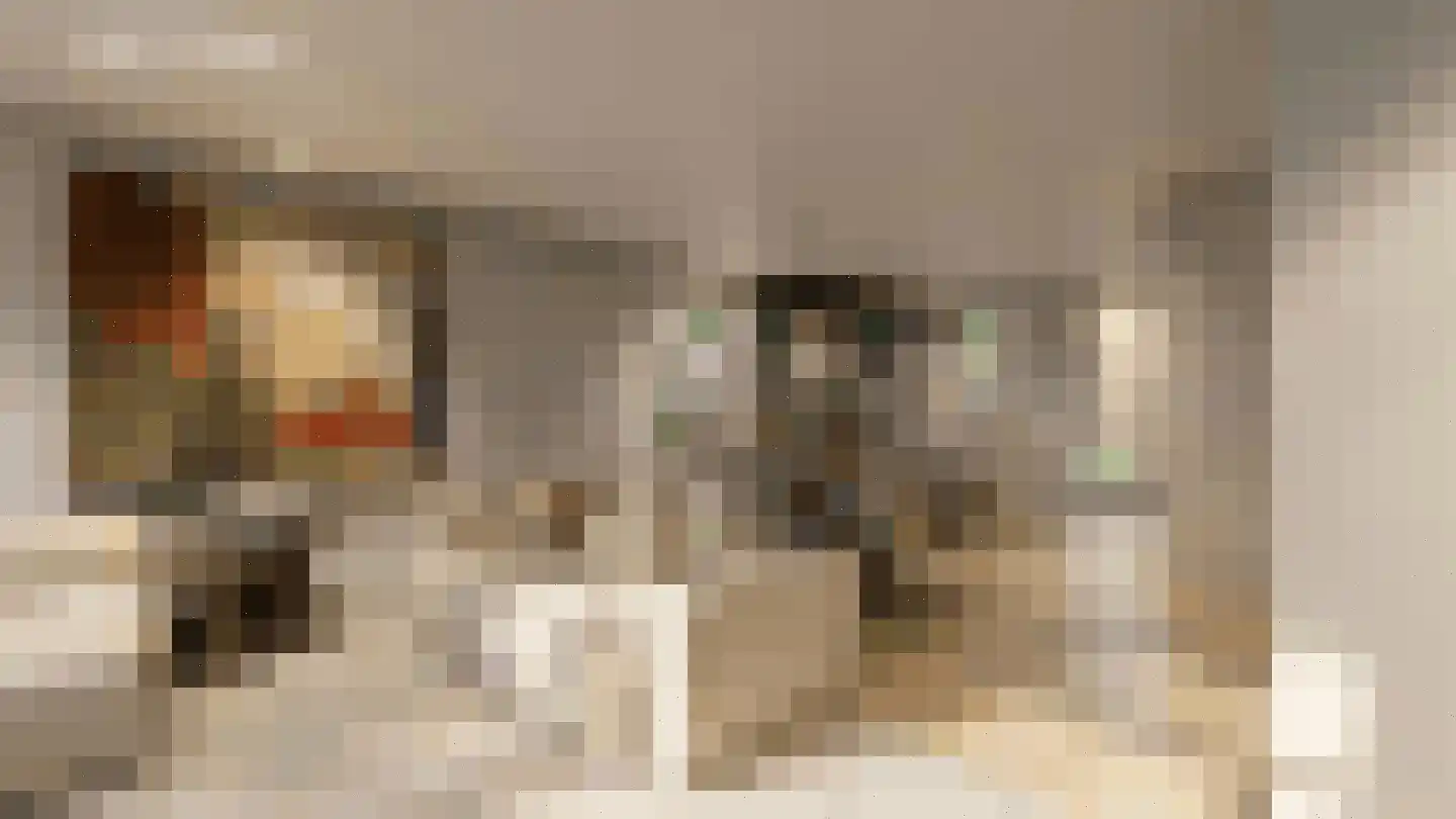 Bosbes 3 Someren thumbnail 9