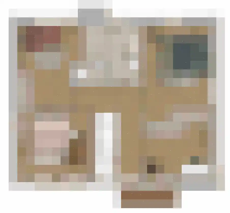 Bosbes 4 Someren thumbnail 6