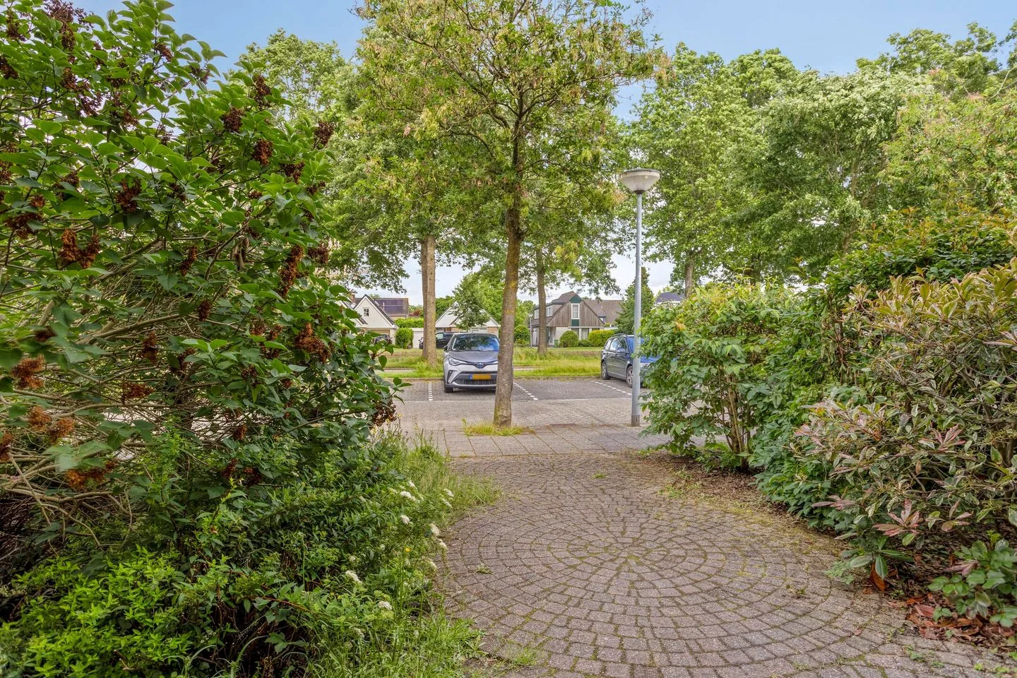 Bosbes 4 Zeewolde thumbnail 40