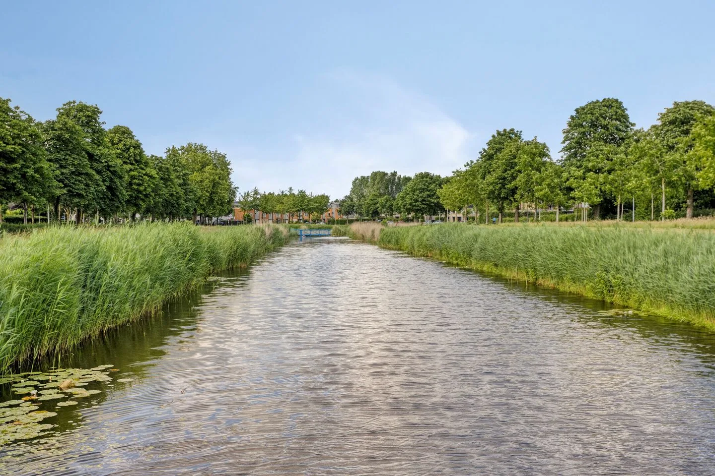 Bosbes 4 Zeewolde thumbnail 44
