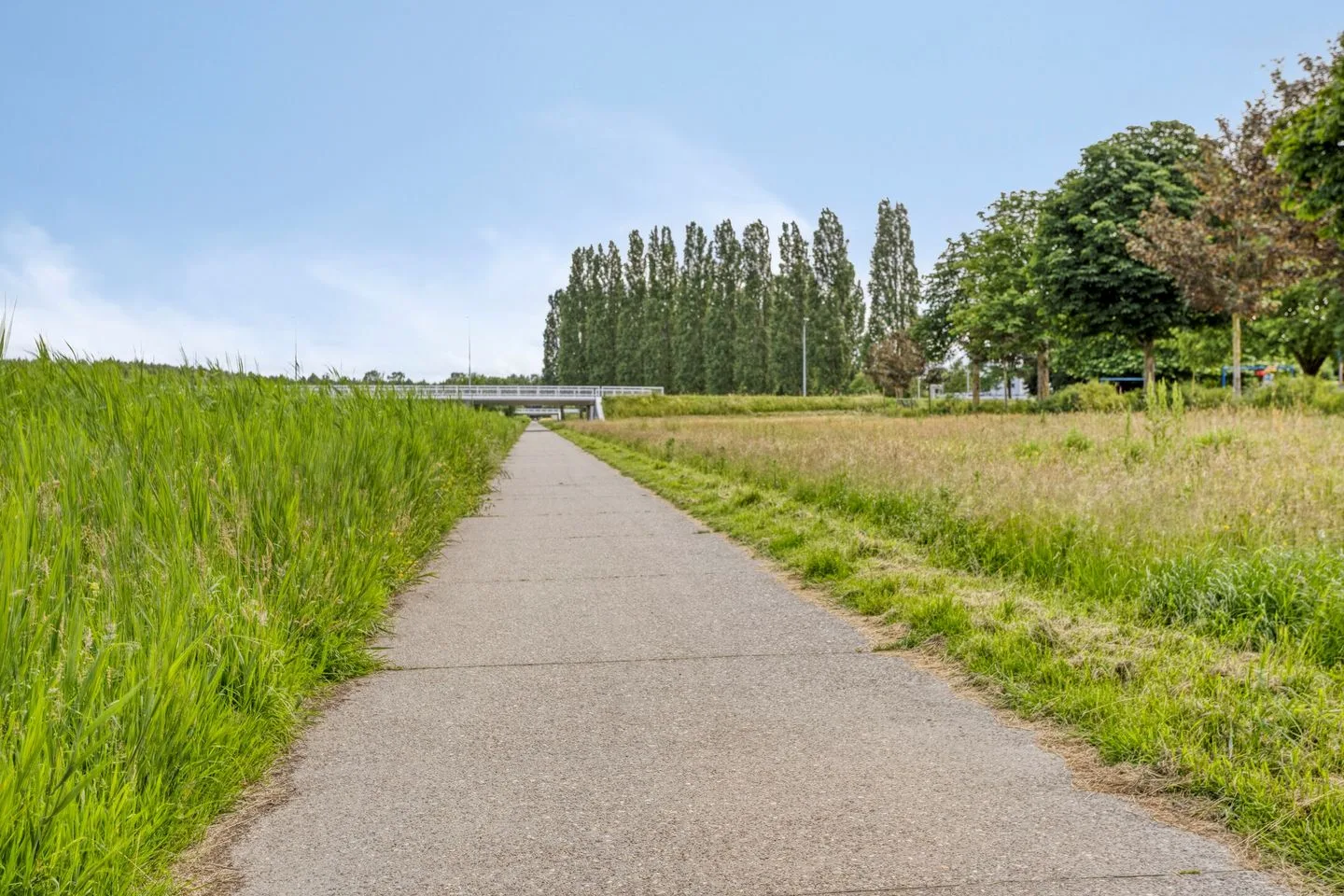 Bosbes 4 Zeewolde thumbnail 45