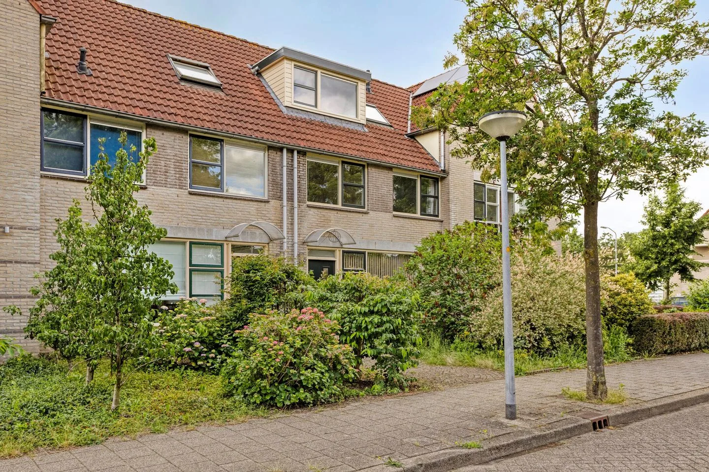 Bosbes 4 Zeewolde thumbnail 6