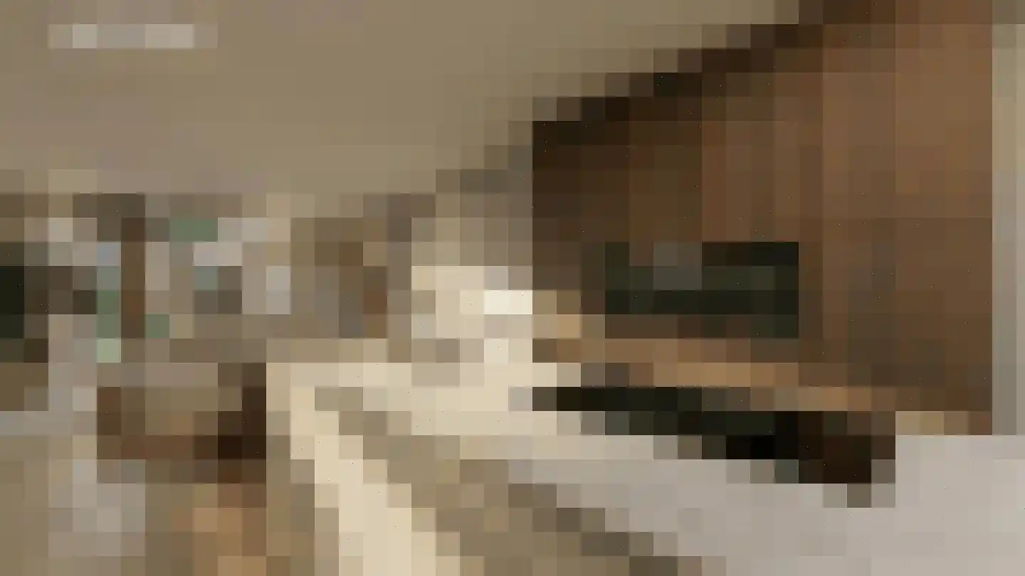 Bosbes 5 Someren thumbnail 10