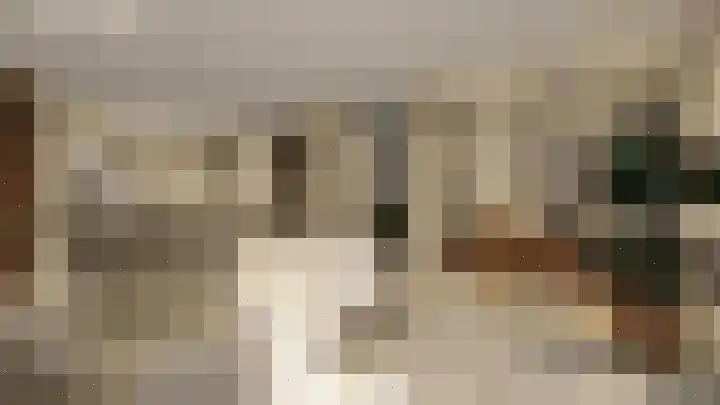 Bosbes 5 Someren thumbnail 5