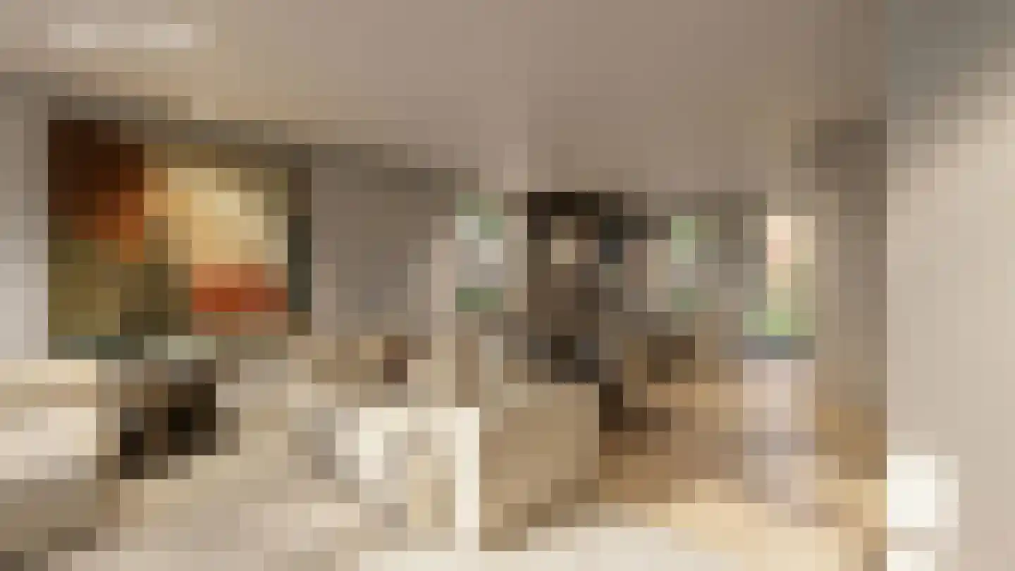 Bosbes 5 Someren thumbnail 9