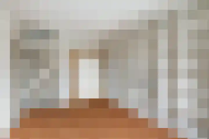 Bosbes 58 Rotterdam thumbnail 10