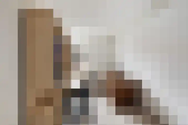 Bosbes 58 Rotterdam thumbnail 11