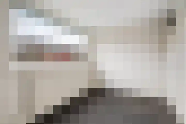 Bosbes 58 Rotterdam thumbnail 12