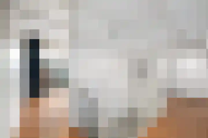Bosbes 58 Rotterdam thumbnail 16