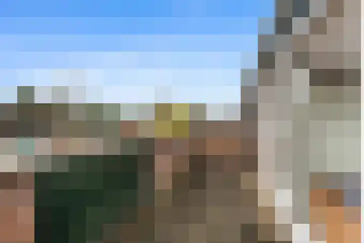 Bosbes 58 Rotterdam thumbnail 19