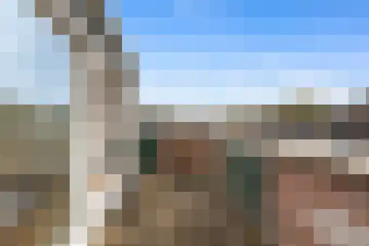 Bosbes 58 Rotterdam thumbnail 20