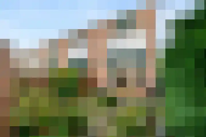 Bosbes 58 Rotterdam thumbnail 21