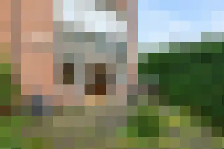 Bosbes 58 Rotterdam thumbnail 22