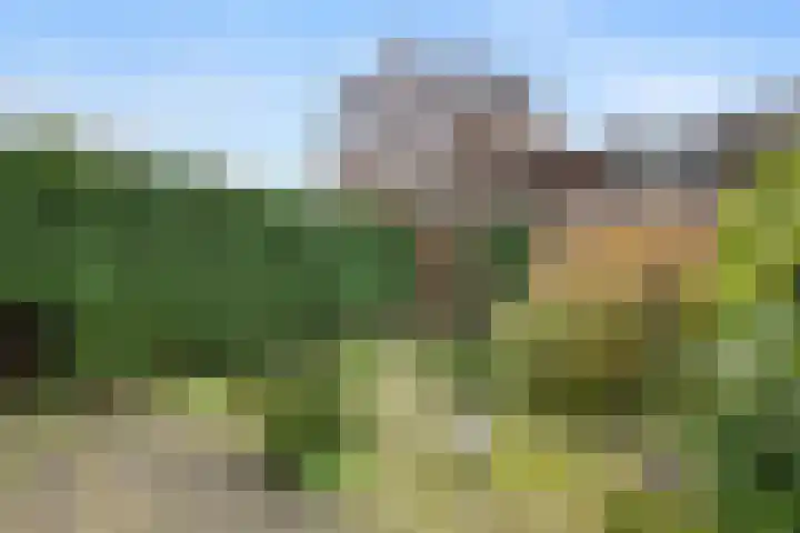 Bosbes 58 Rotterdam thumbnail 23