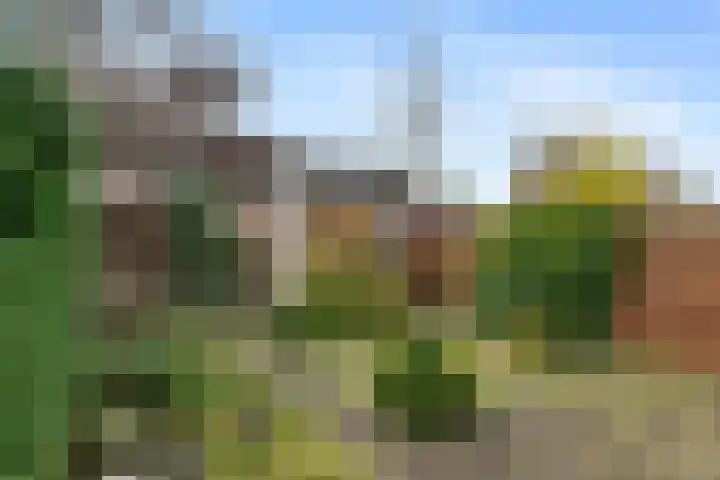 Bosbes 58 Rotterdam thumbnail 24