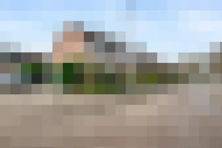 Bosbes 58 Rotterdam thumbnail 27