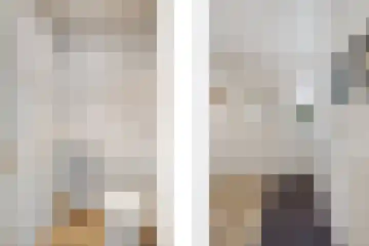 Bosbes 58 Rotterdam thumbnail 6