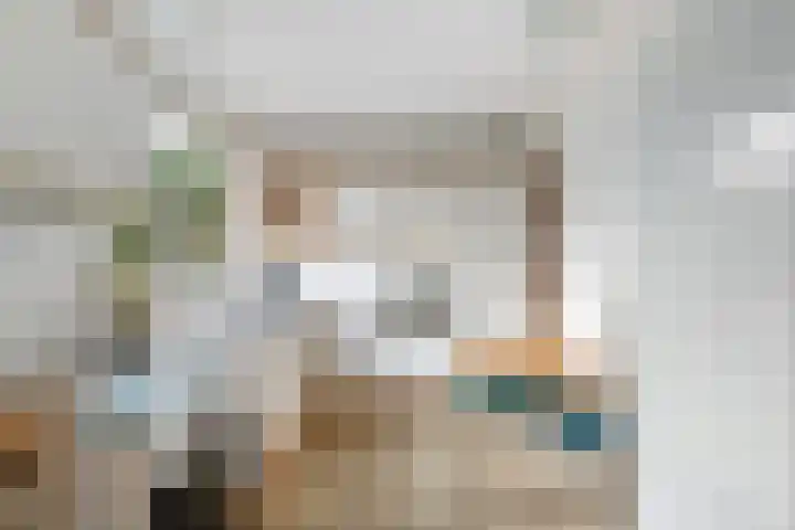 Bosbes 58 Rotterdam thumbnail 8