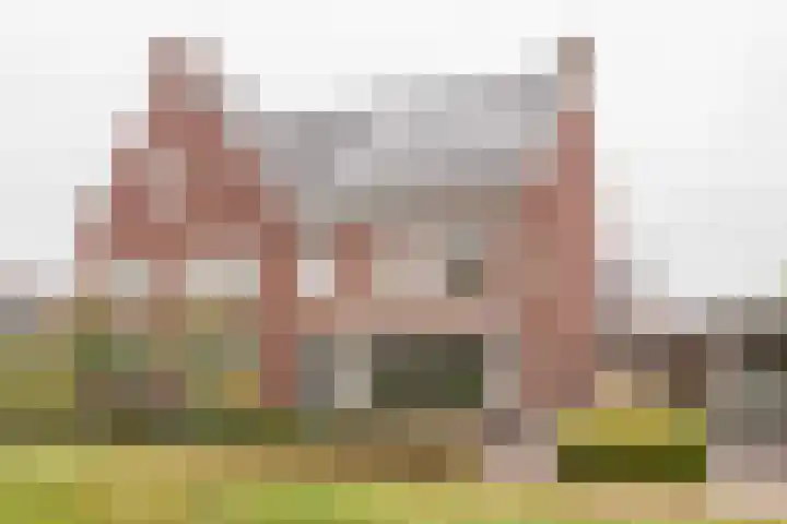 Bosbes 7 in Nijkerk