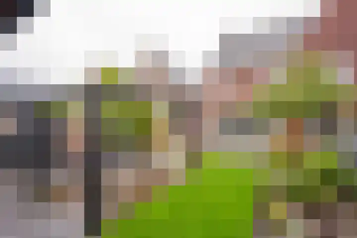 Bosbes 7 Nijkerk thumbnail 10