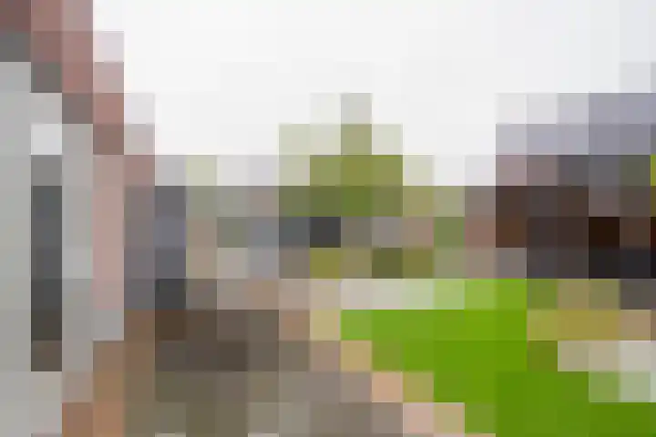 Bosbes 7 Nijkerk thumbnail 11
