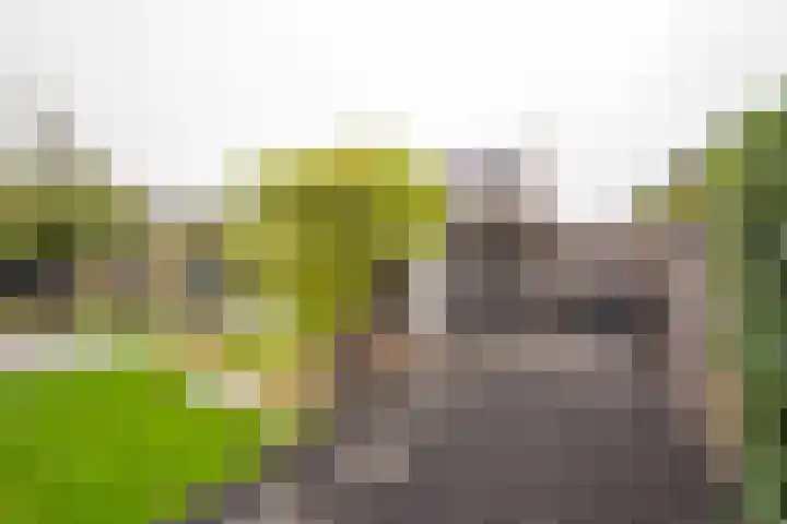 Bosbes 7 Nijkerk thumbnail 13