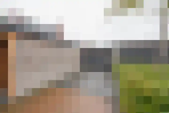 Bosbes 7 Nijkerk thumbnail 14