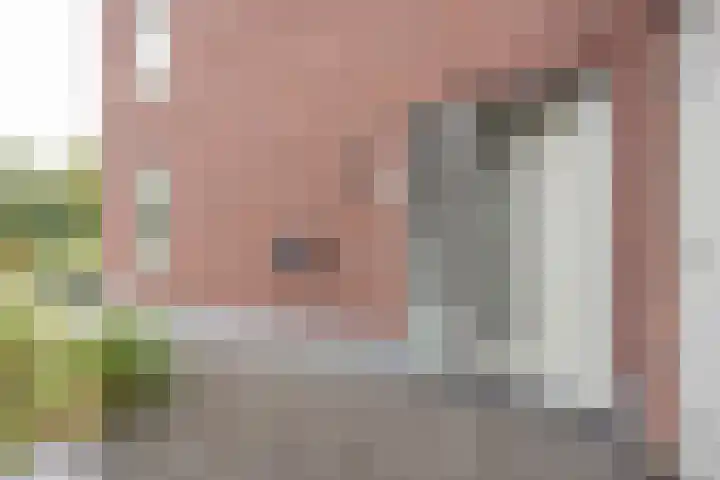 Bosbes 7 Nijkerk thumbnail 15