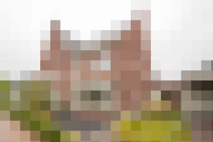 Bosbes 7 Nijkerk foto 2