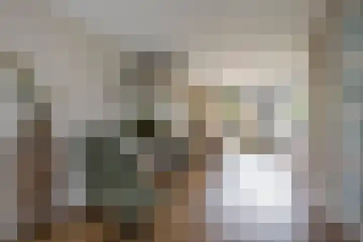 Bosbes 7 Nijkerk thumbnail 20