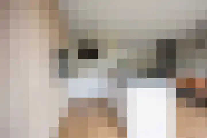Bosbes 7 Nijkerk thumbnail 23