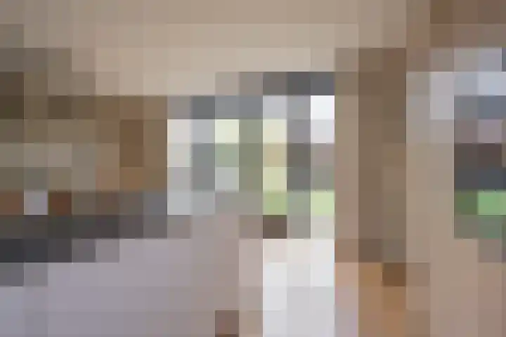 Bosbes 7 Nijkerk thumbnail 25