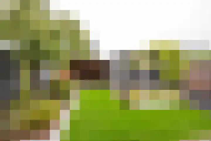 Bosbes 7 Nijkerk thumbnail 4