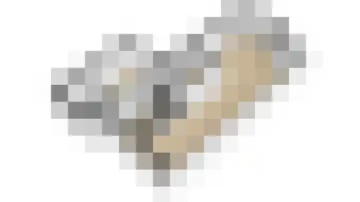 Bosbes 7 Nijkerk thumbnail 48