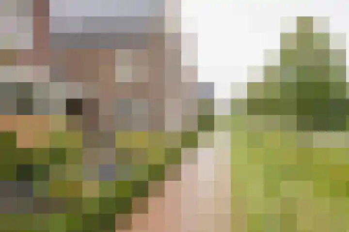 Bosbes 7 Nijkerk thumbnail 5