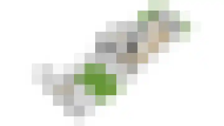 Bosbes 7 Nijkerk thumbnail 57